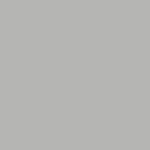 Port Authority Broadcloth Gingham Easy Care Shirt, Gray, swatch